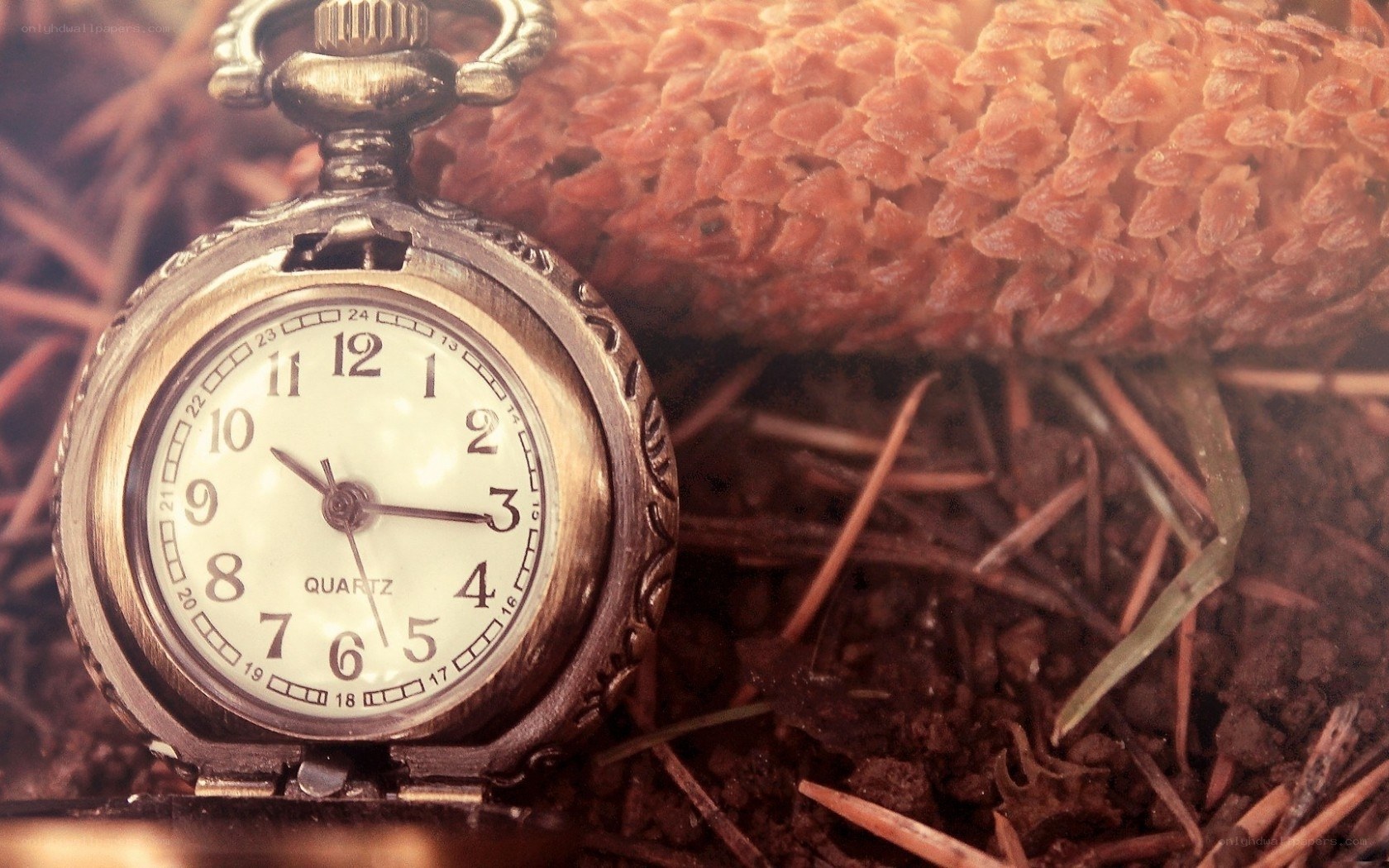 vintage pocket watch in nature