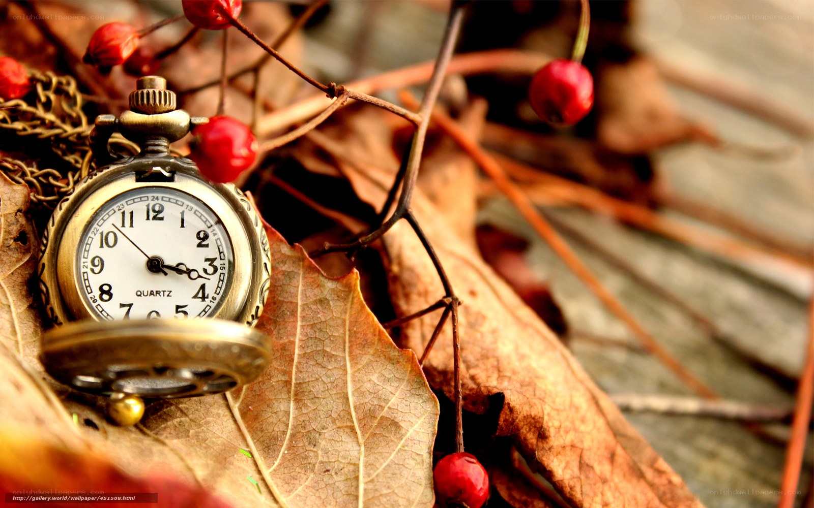 Vintage pocket watch on autumn leaves