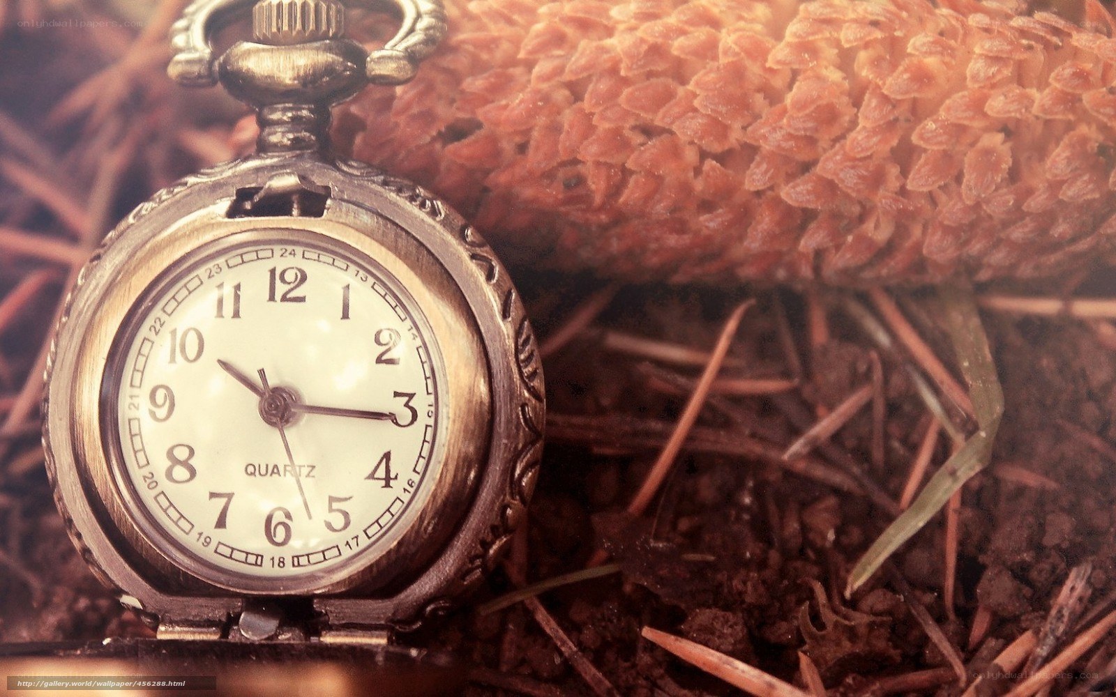 vintage pocket watch on pinecone