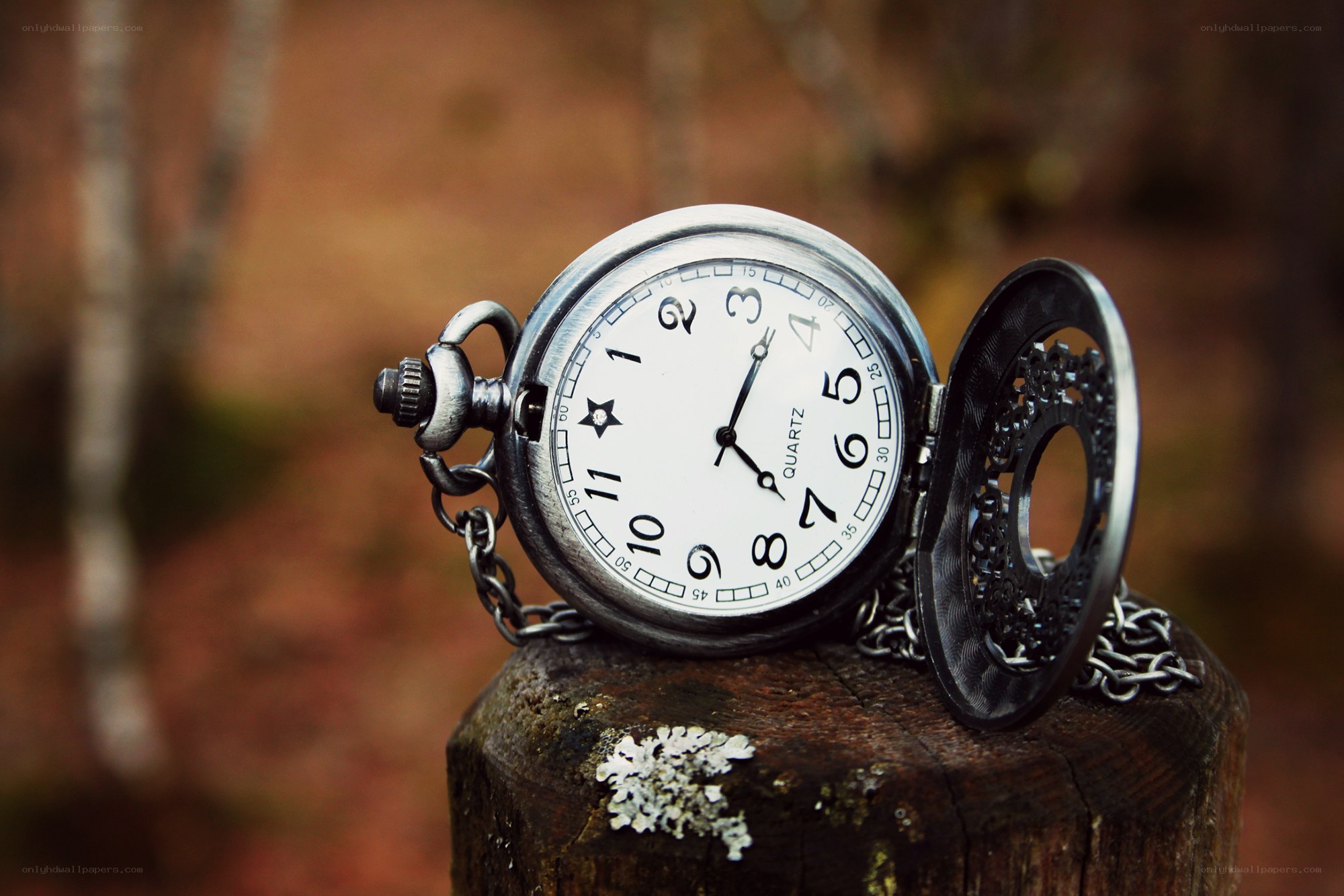 vintage pocket watch on stump