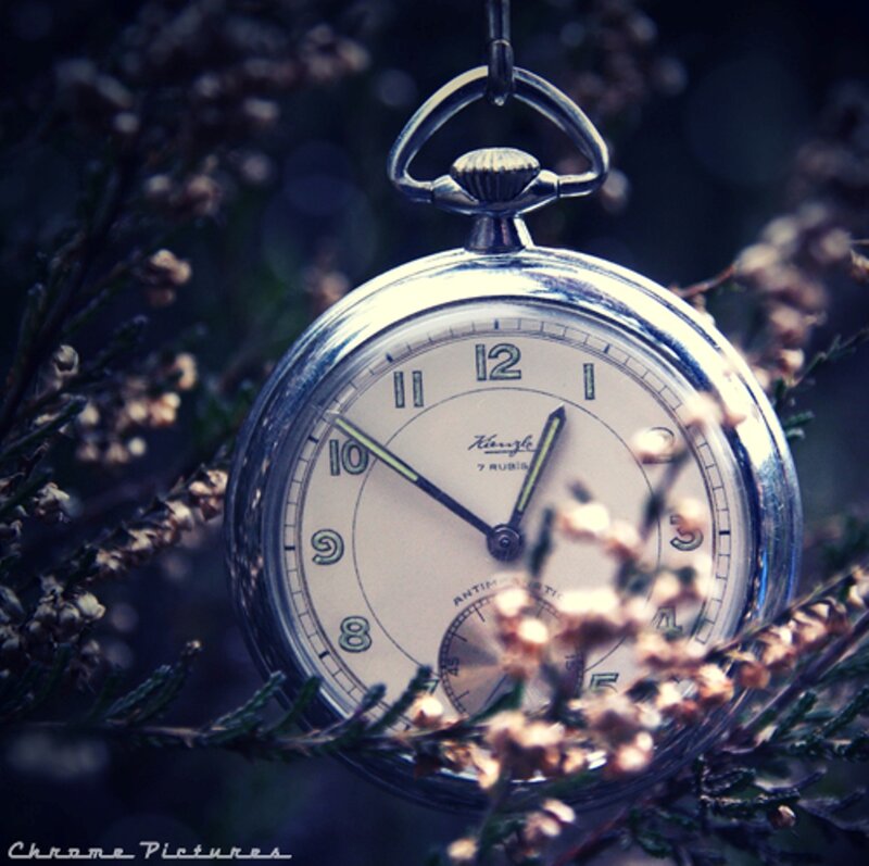 Vintage Pocket Watch — Silver