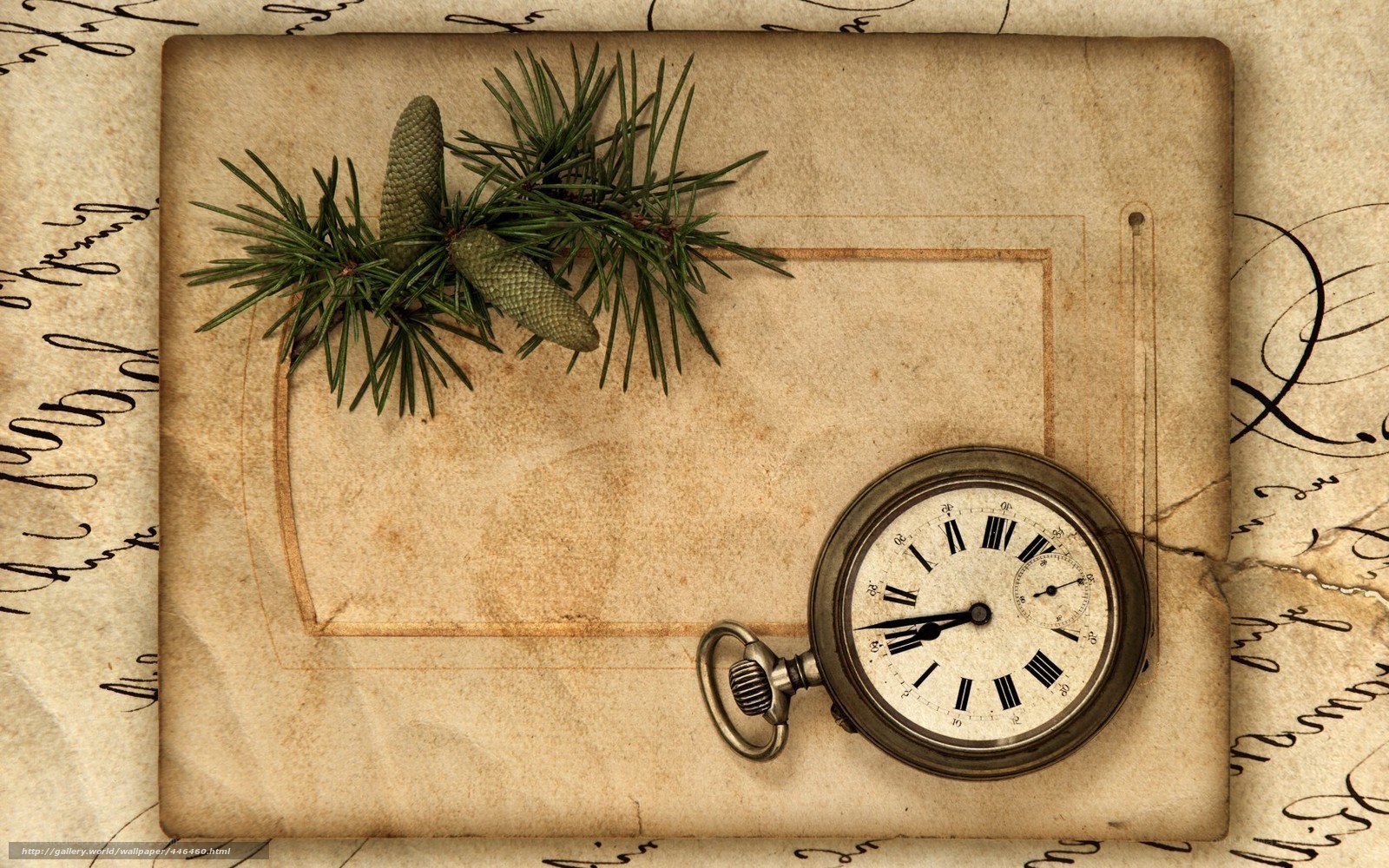 vintage pocket watch with pine sprigs
