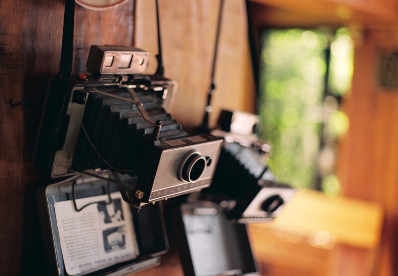 vintage polaroid cameras on display