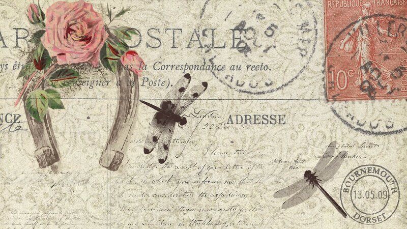 Vintage Postcard with Dragonflies