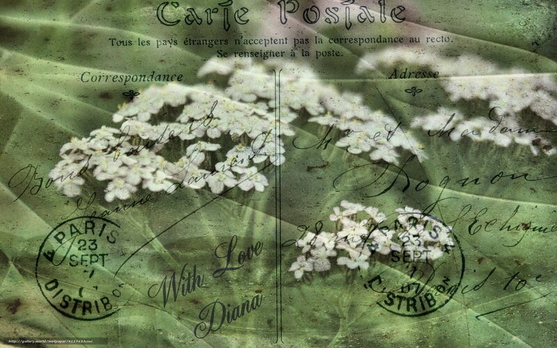 Vintage postcard with flowers