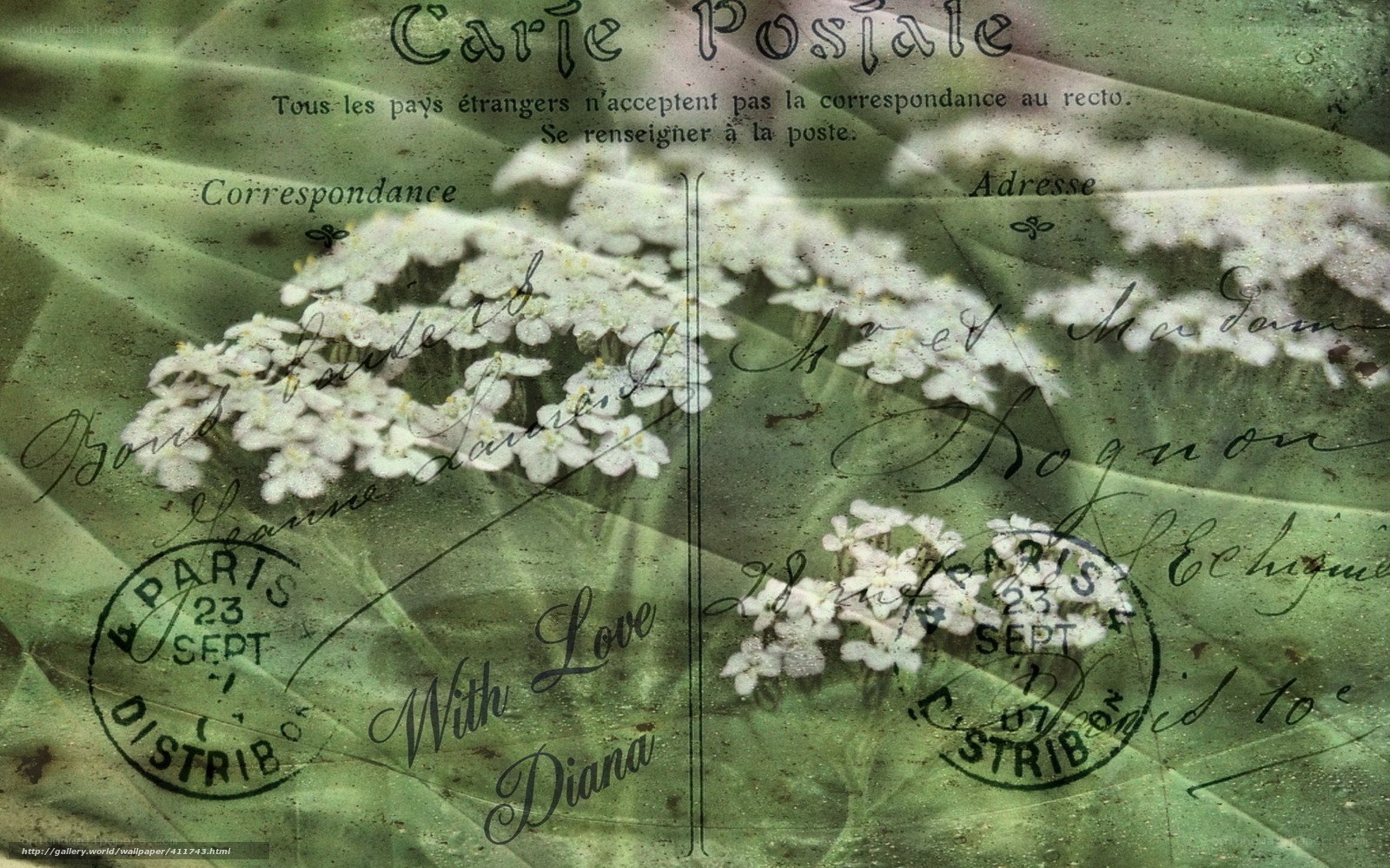 Vintage postcard with flowers