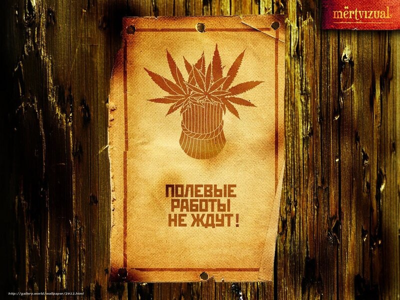 Vintage poster on wood