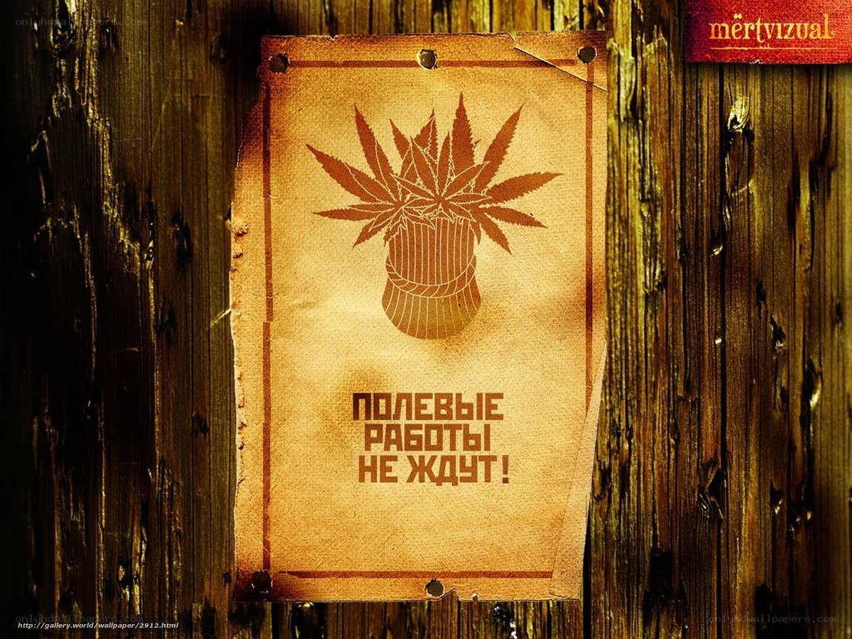 Vintage poster on wood