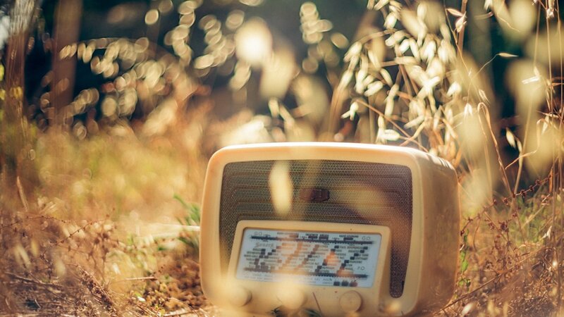 Vintage radio in a field