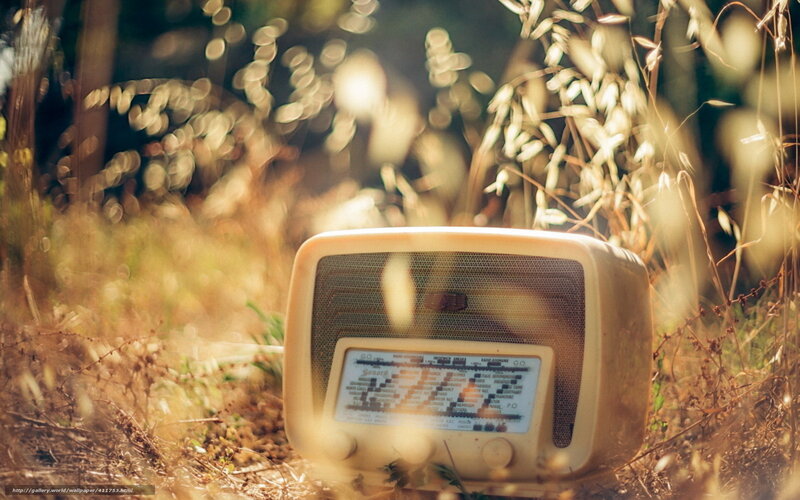 Vintage radio in sunlit field