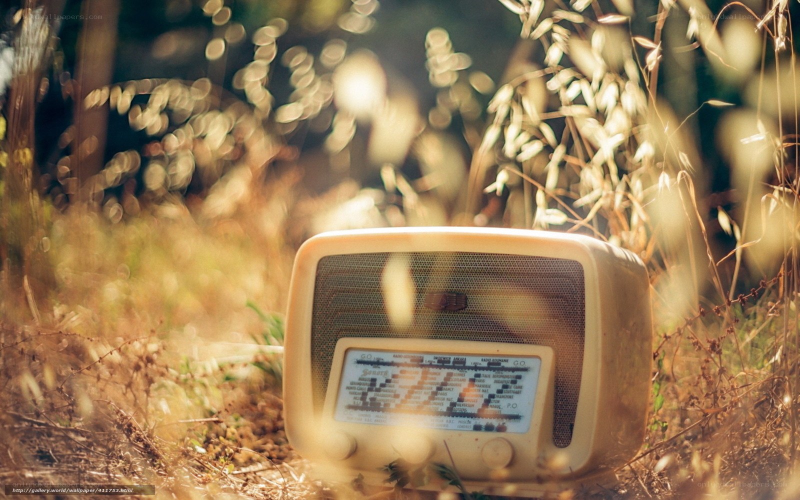 Vintage radio in sunlit field