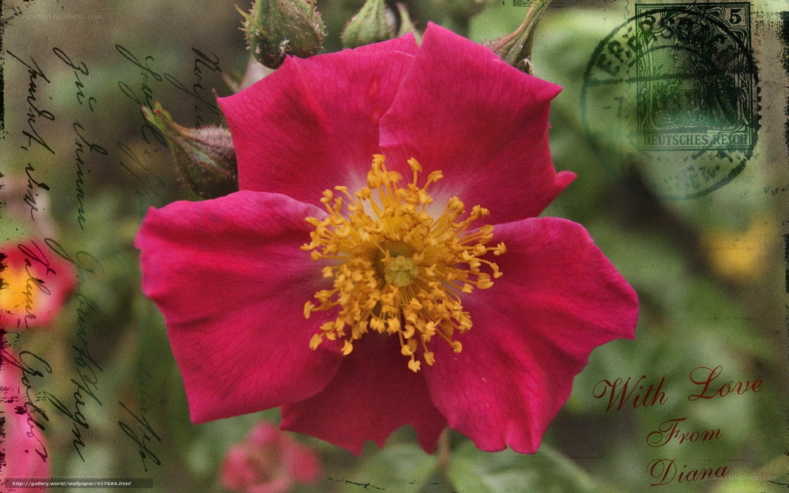 vintage rose with love note