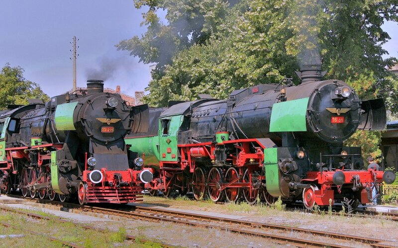 Vintage steam locomotives on display