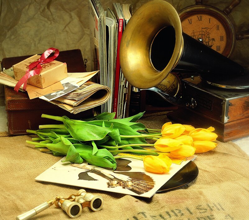 Vintage still life with gramophone