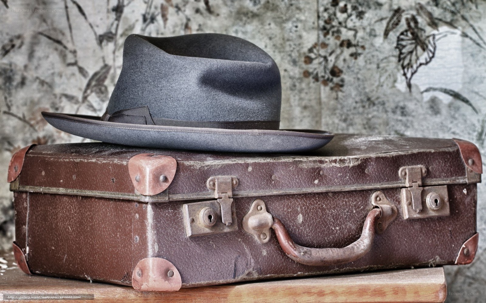 vintage suitcase with hat