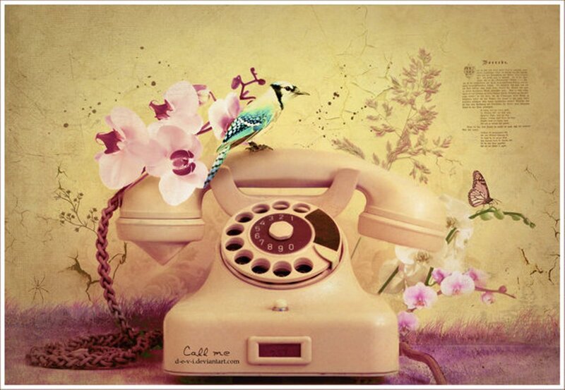 Vintage Telephone with Bird