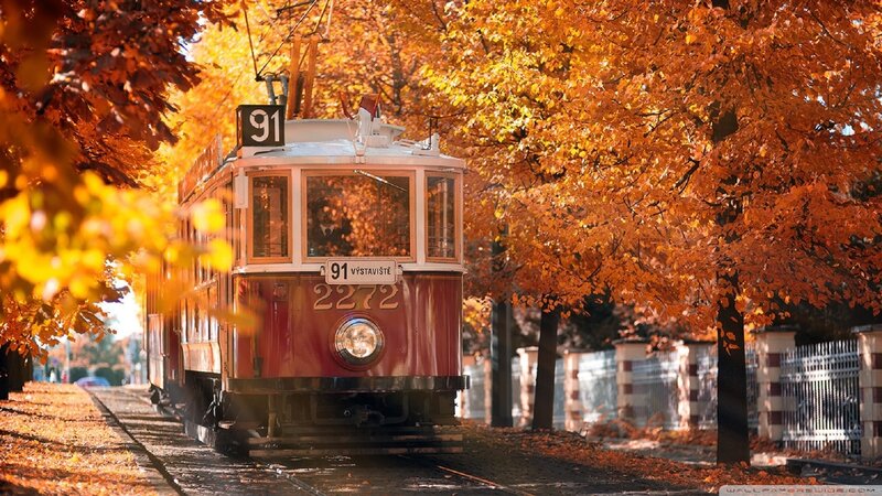 Vintage Tram in Autumn