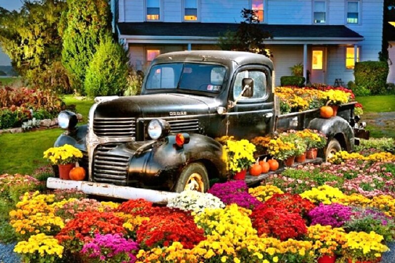 Vintage Truck in Garden