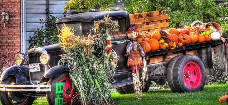 Vintage Truck with Pumpkins — Black