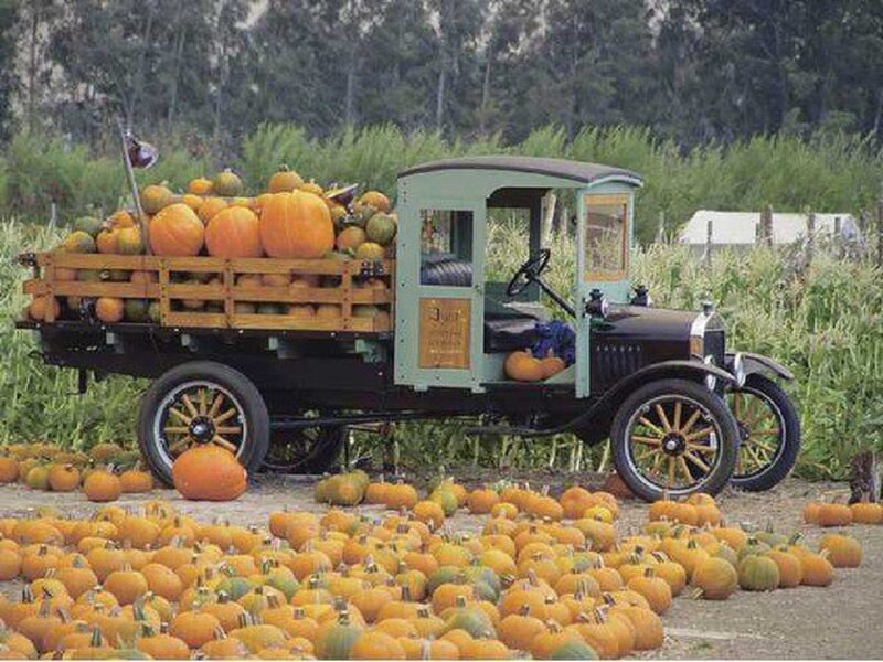 Vintage Truck with Pumpkins