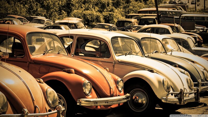 vintage volkswagen beetles in a lot