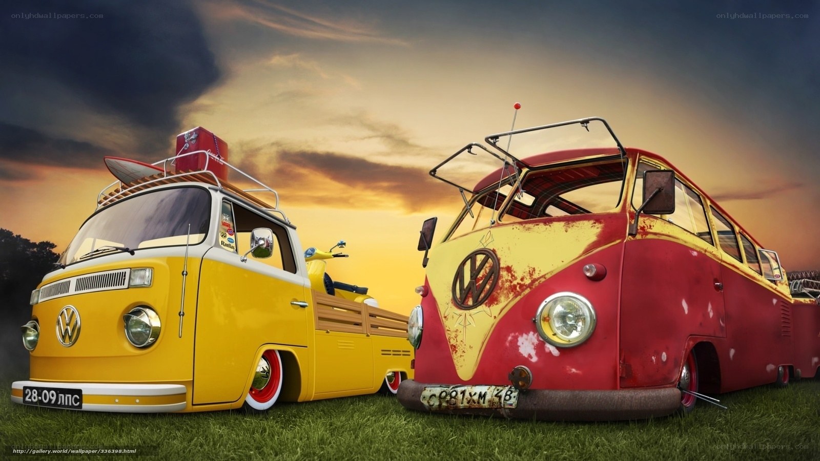 Vintage VW buses on grass
