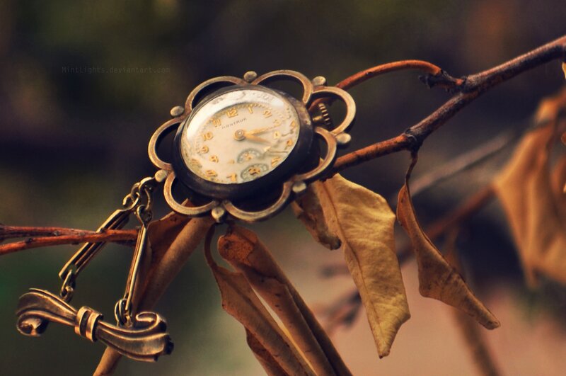Vintage Watch on Branch