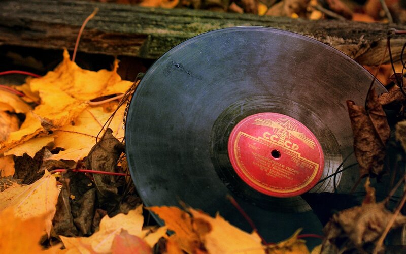 vinyl record in autumn leaves