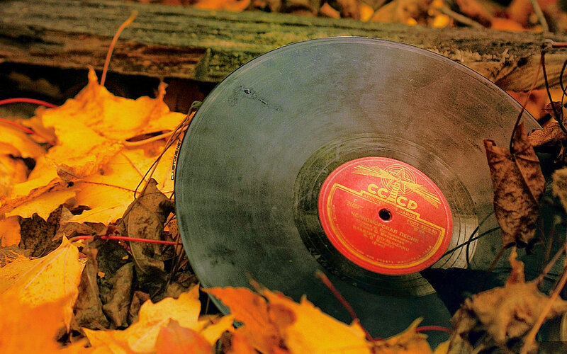 Vinyl Record in Leaves