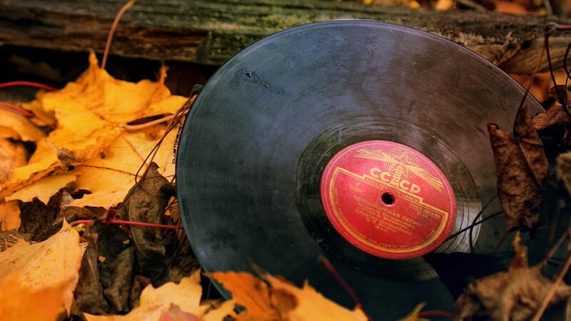 Vinyl Record in Leaves — Yellow