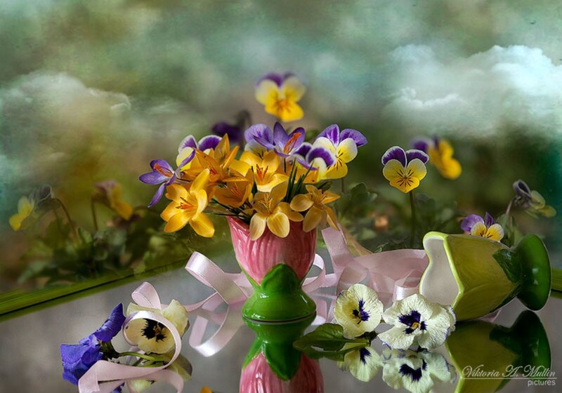 Violet and Crocus Flowers