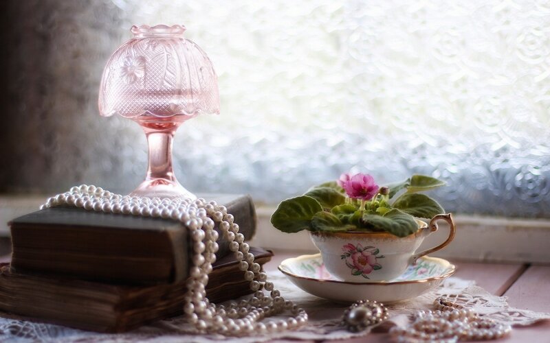 Violet in Teacup — White