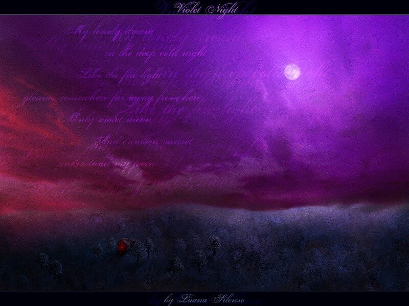 Violet Night Poem