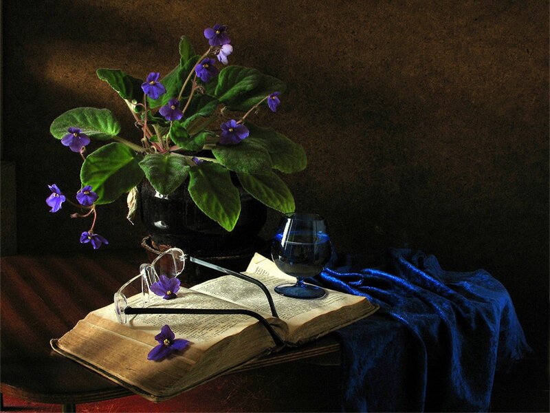 Violet Plant on Book