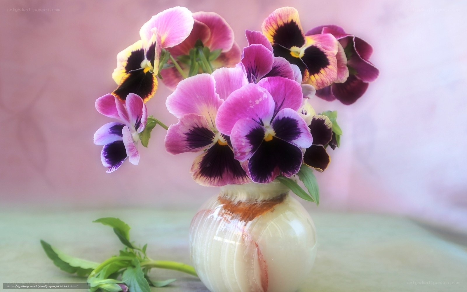 Violets in a vase