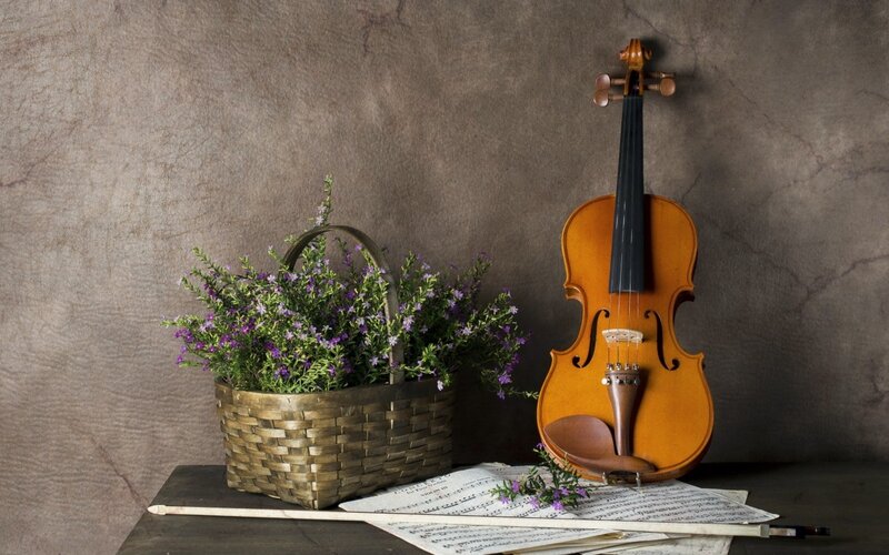 Violin and Flowers — Brown, Serene