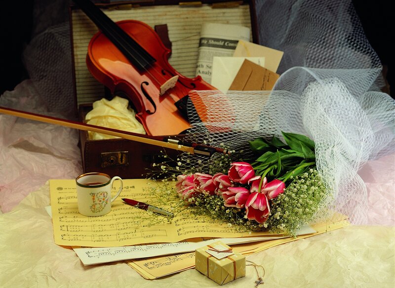 Violin and flowers in a suitcase