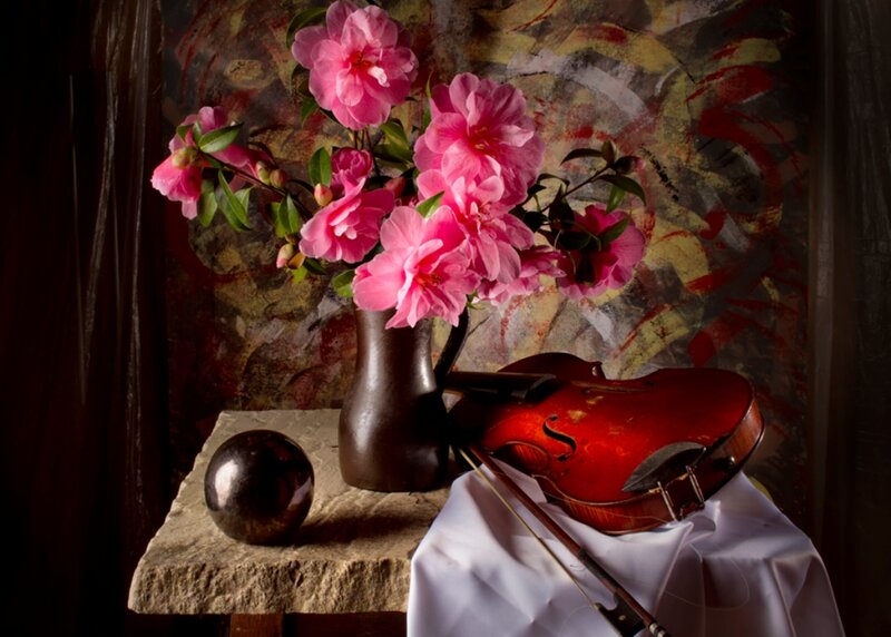Violin and Flowers — Pink, Dramatic