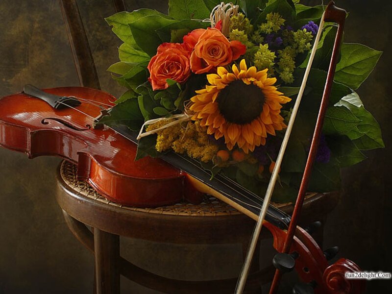 Violin and Flowers — Red, Serene