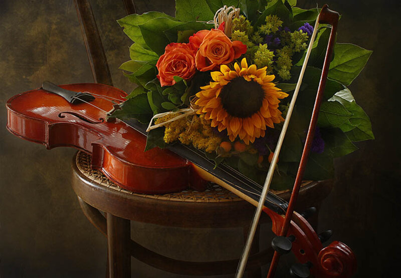 Violin and Flowers — Red