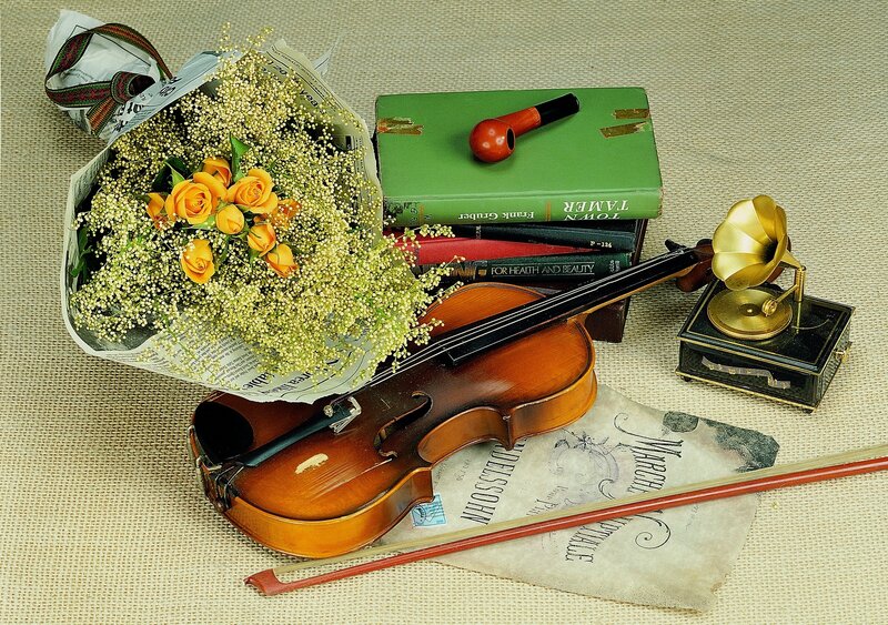 Violin and flowers still life