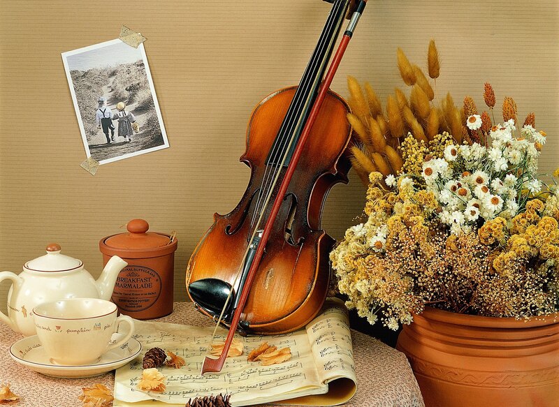 Violin and Flowers