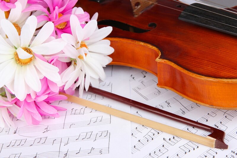Violin and Flowers — White