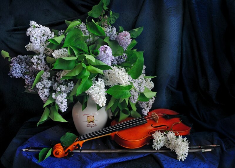 Violin and Lilac Flowers