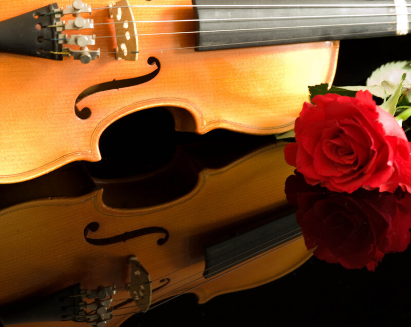 Violin and Red Rose — Brown