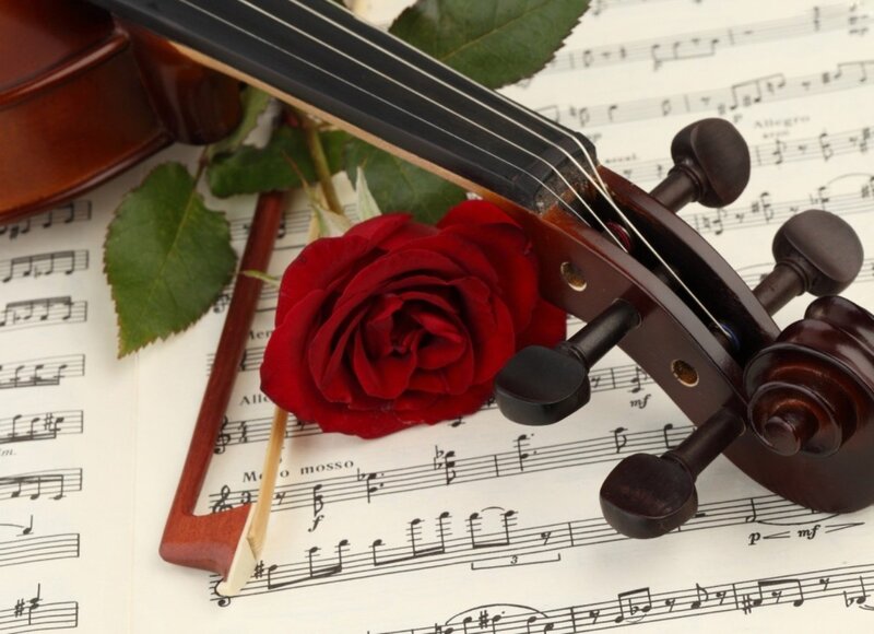 Violin and Red Rose