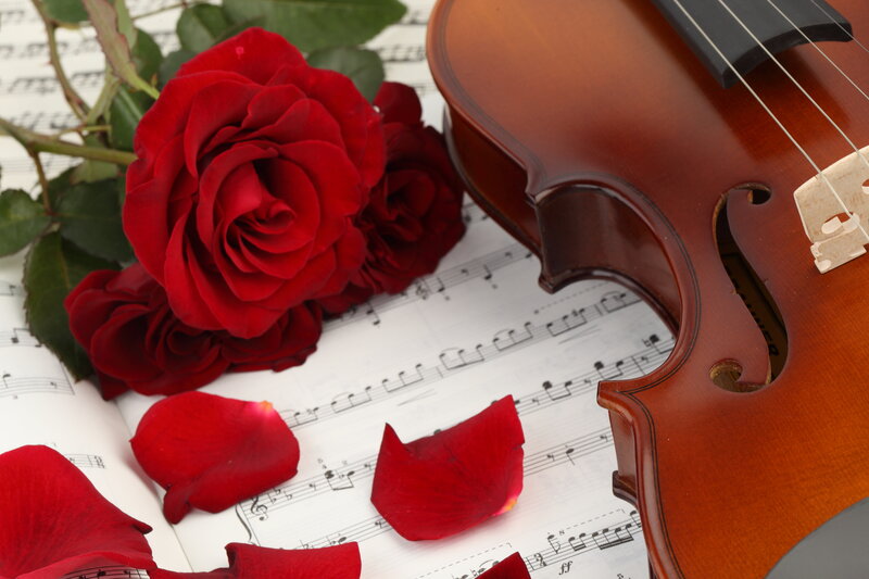 Violin and Red Roses — Romantic