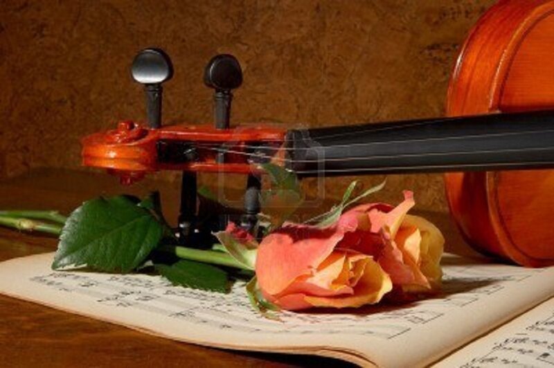 Violin and Rose — Brown, Serene