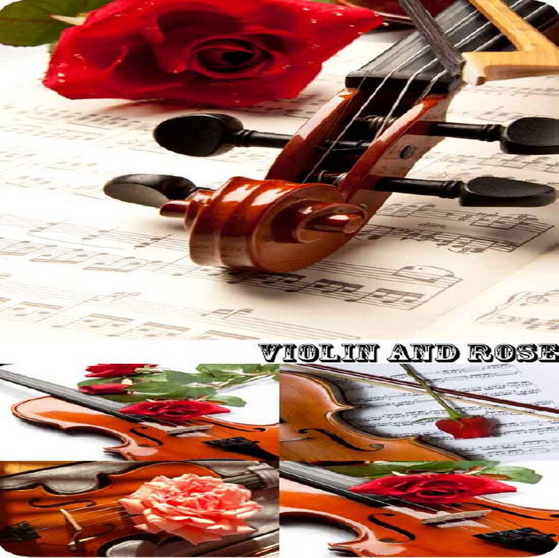 Violin and Rose Collage