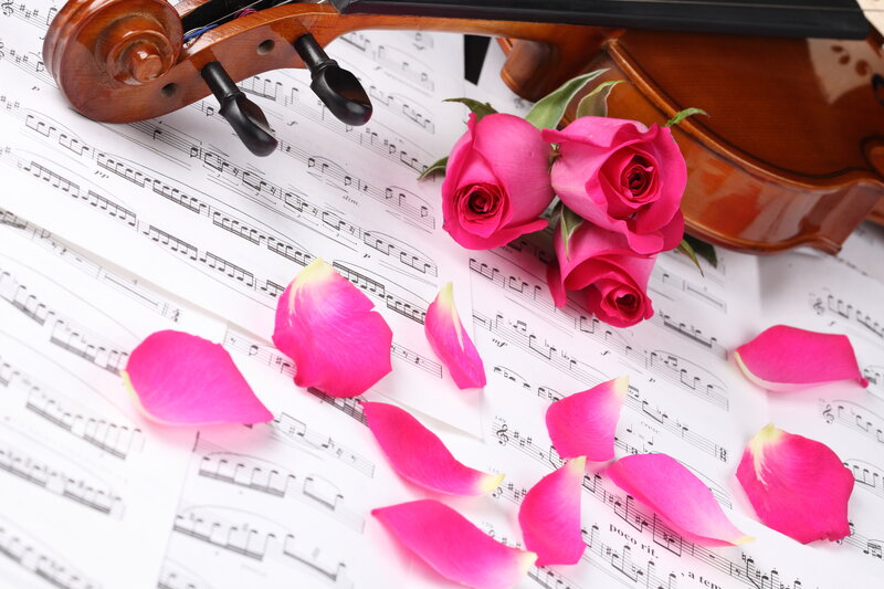 Violin and Rose Petals
